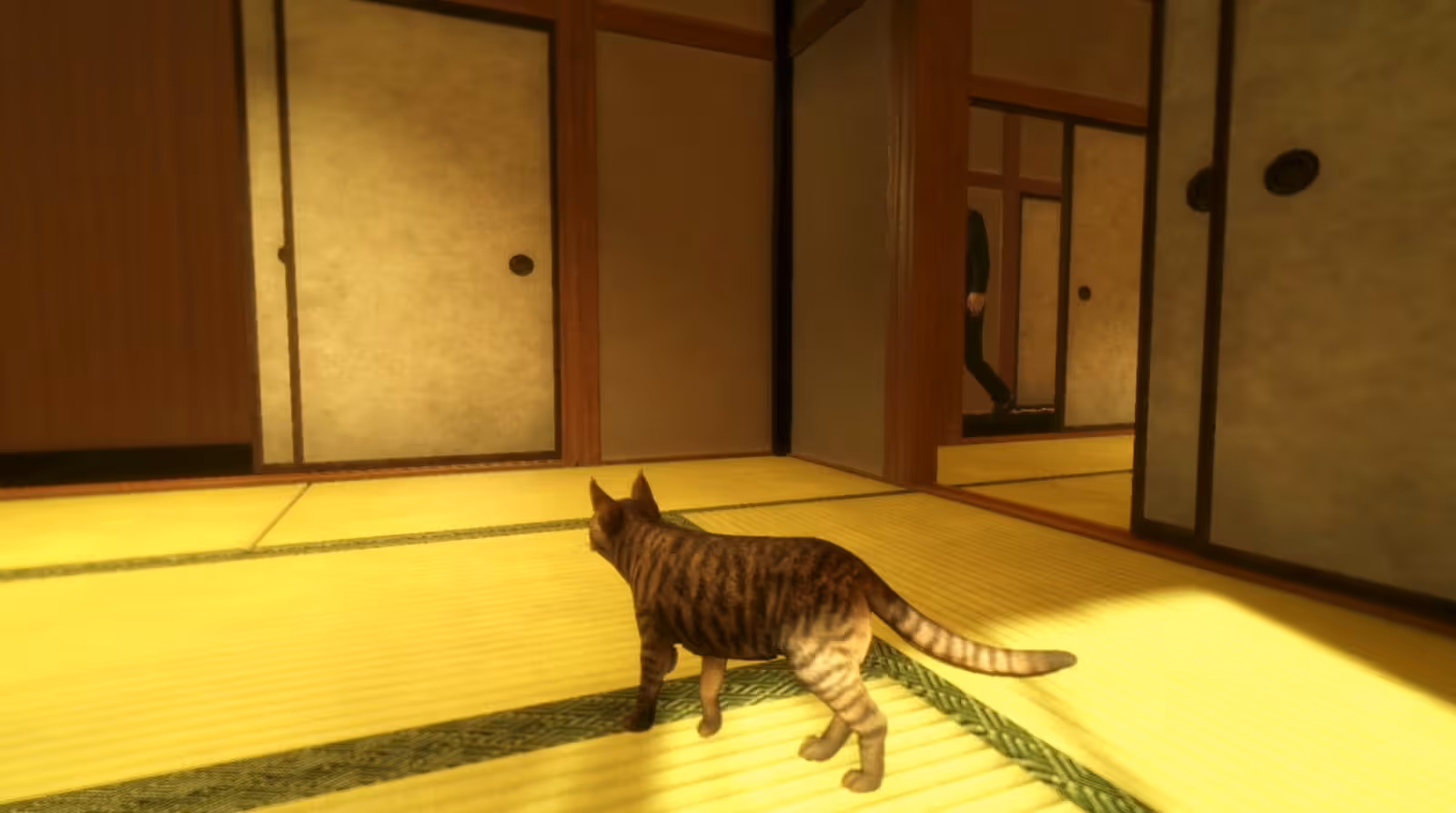 Steam猫咪视角心理恐怖《猫还在逃吗？ 》10/27上市，探索老宅拼凑事件真相